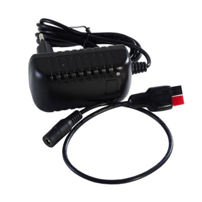 6V 2A lithium battery charger